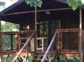 Chalet sur pilotis avec terrasse pour 4 personnes - API-1-52-496