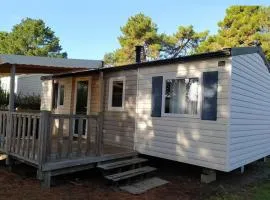 Mobil-home spacieux avec terrasse - 6 personnes - API-1-52-718