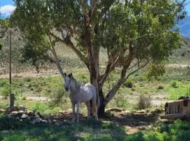 Rocky Sands - Klein Karoo R62