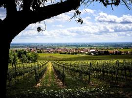 Tolle Wohnung für 3 Personen，位于Hackenheim的酒店