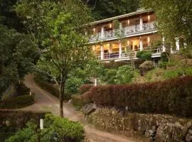 Forest Edge Hotel