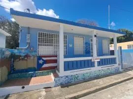 The Little Blue House
