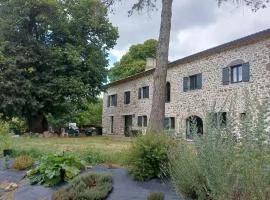 Aux 43 arbres Gîte Tilleul