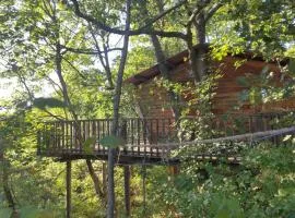 Cabane de la Bannette - Magnifique cabane dans les arbres, vue panoramique