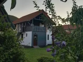 Apartamente Ambrus Praid