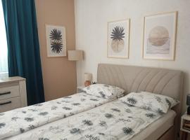 Apartman Radanović，位于福查的酒店