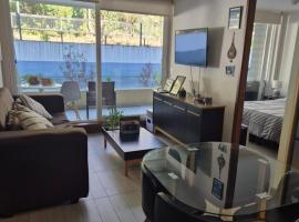 Departamento full equipado Pucón - Casa Ayun，位于普孔的带停车场的酒店