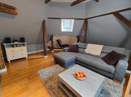 Zentrale Altbau FEWO，位于弗伦斯堡的酒店