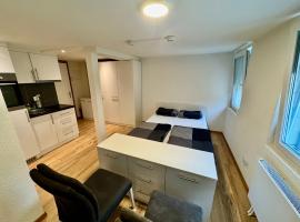 Wohnung Seewen，位于施维茨的酒店