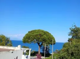 Amici di Villa Point Intera Villa