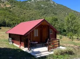 Wooden house