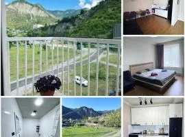 White House Apartments in Borjomi