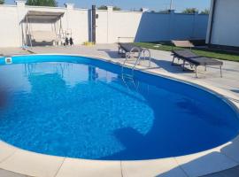 Casa Sofia&Miruna，位于Vladimirescu的带泳池的酒店