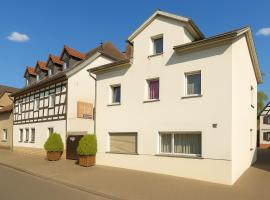 Stilvolle, gemütliche und haustierfreundliche Wohnung，位于Hackenheim的酒店