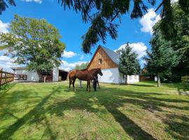 Ferienhaus in Ostseenähe auch mit Pferd，位于Ducherow的酒店