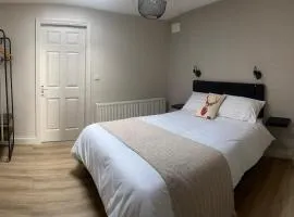 Castletroy Apartment