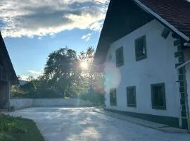 Bohinj Countryside House