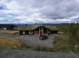Hytte hafjell mosetertoppen