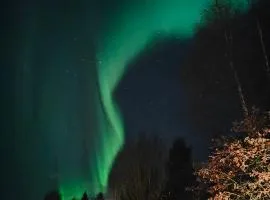 Arctic Villa Riekko - Cozy Arctic Circle Hideaway