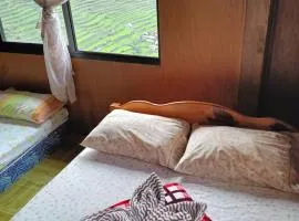 巴塔德景观餐厅宾馆