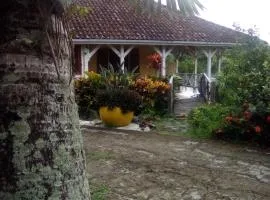 Villa CACAO