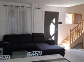 Maison familiale avec jardin à Le Mée-sur-Seine