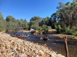 King River Caravan Park，位于Whitfield的酒店