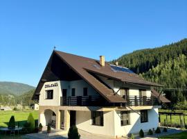 Pensiunea agroturistica Elena，位于Drăgoiasa的酒店