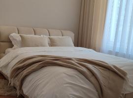 Monaco House，位于基希讷乌基希讷乌国际机场 - RMO附近的酒店