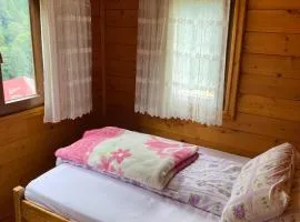 Ayder Wooden Rooms