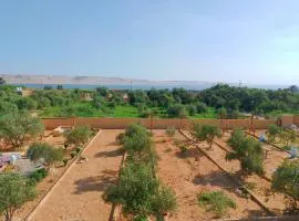 فندق دار تونس الزيتون