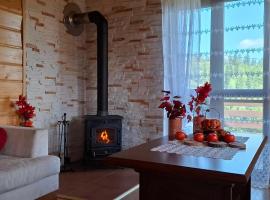 domki w pewelce，位于Pewelka的酒店