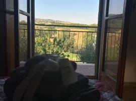 B&B Da Vincenzo e Teresa