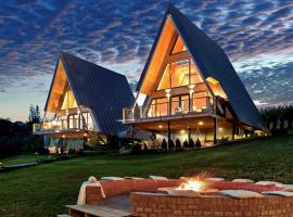 Arta Chalet，位于Ceptura de Jos的带热水浴缸的酒店