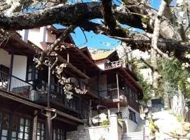 塞诺娜斯布里兹酒店