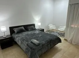 Departamento en Microcentro