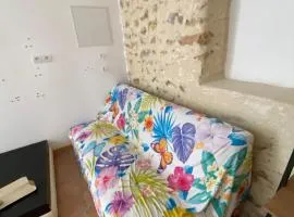 Maisonnette climatisée avec jardin proche océan