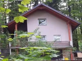 Holín Quiet Garden Holiday Home