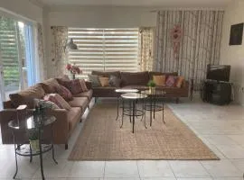 Le Beau Souvenir, Noiseux