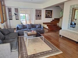 Resident landlord guest house panthea，位于利马索尔的酒店
