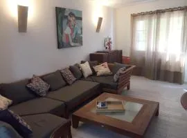 Villa in Olonzac with Pool near Lac du Jouarres