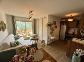 Luxueux appartement au centre, 2 chambres, commerces et pistes à pieds, vue panoramique terrasse ensoleillée, parking, prestations haute qualité