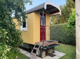 Gypsy Caravan in Weideblick with Farm Animals
