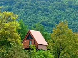 Mira Hills