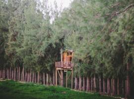 Vindoux Tree House Guest Farm & Spa，位于塔尔巴赫的酒店