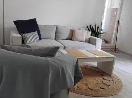 Entre estuaire et ocean