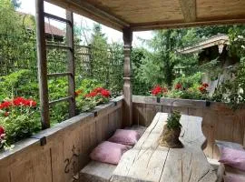 Eco-friendly chalet near the lake in Asten