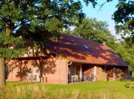 Holiday Home in Geesteren with Roof Terrace,Garden Furniture