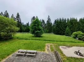 Spacious semi-detached house with wood stove located directly on the Rennsteig