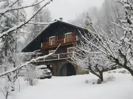 Chalet de luxe - Alpes française